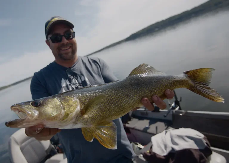 catch-release-walleye