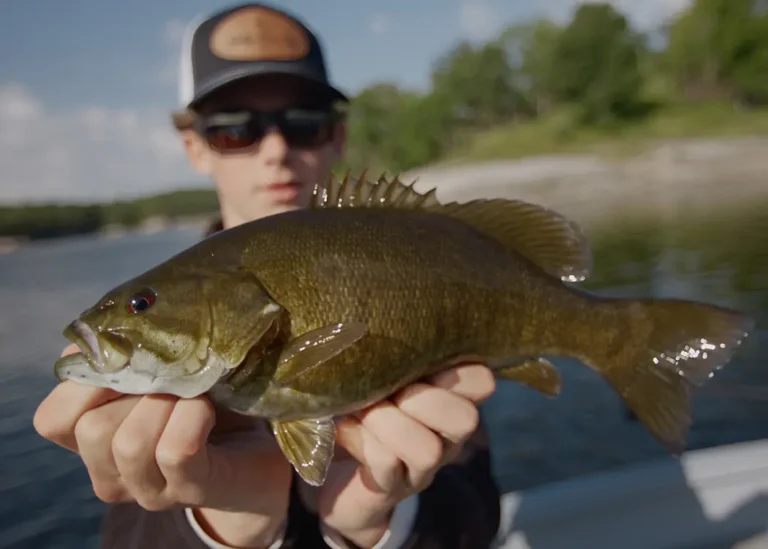 fly-fishing-smallmouth-bass